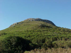 cerro betel
